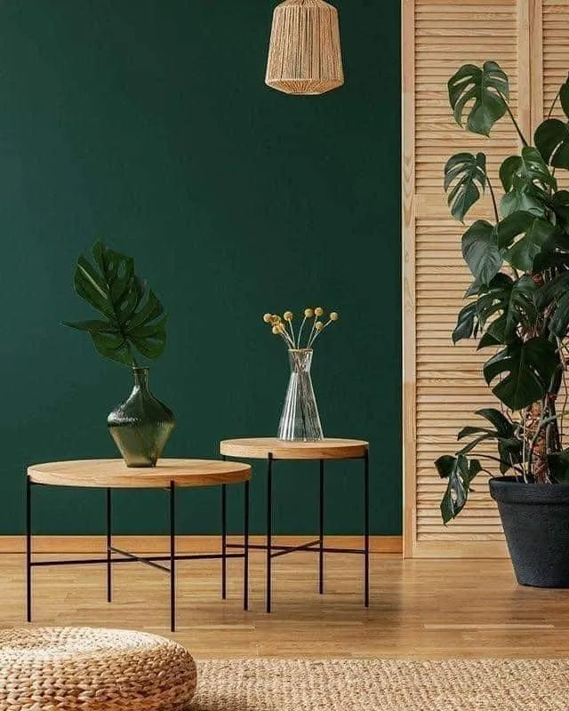 interior paints